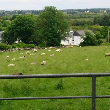 Pio Luxury 3km From Historic Cong, Ashford Castle, Ashford * Cong